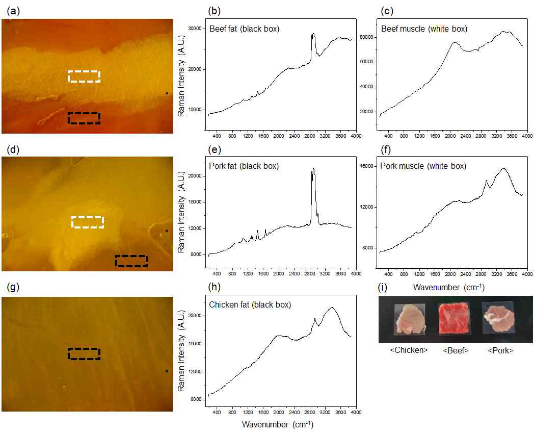 (a) 소고기, (d) 돼지고기, (g) 닭고기 조직의 현미경 광학이미지와 각 조직 부위에 따른 라만 스펙트럼. (하얀 박스: 지방조직, 검정 박스: 근육조직) (i) 각 조직의 광학 이미지
