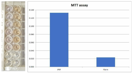 MTT assay result