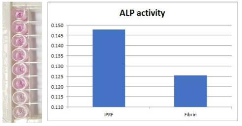 ALP activity result