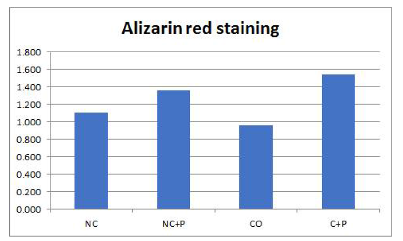 Alizarin red staining result
