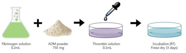 FG/ADM powder scaffold 생성 과정. Fibrinogen solution에 ADM powder를 넣은 뒤 thrombin으로 activation 시켜 상온에서 incubation한 뒤 3일간 건조