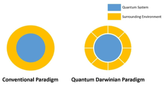 양자-주변계 관계에 대한 기존 양자역학적 관점과 양자 다위니즘적 관점
