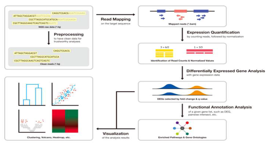 RNA-seq analysis overview