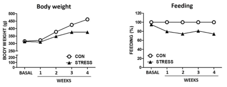 스트레스로 인한 몸무게 및 먹이량 변화