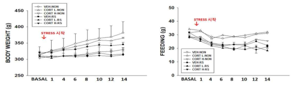 스트레스호르몬 + 구속스트레스 전후 쥐의 몸무게 및 먹이량의 변화
