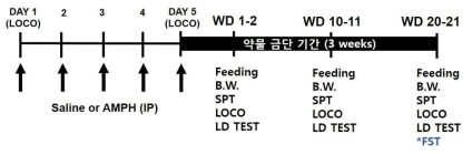 약물 중독 동물 모델 제작 과정