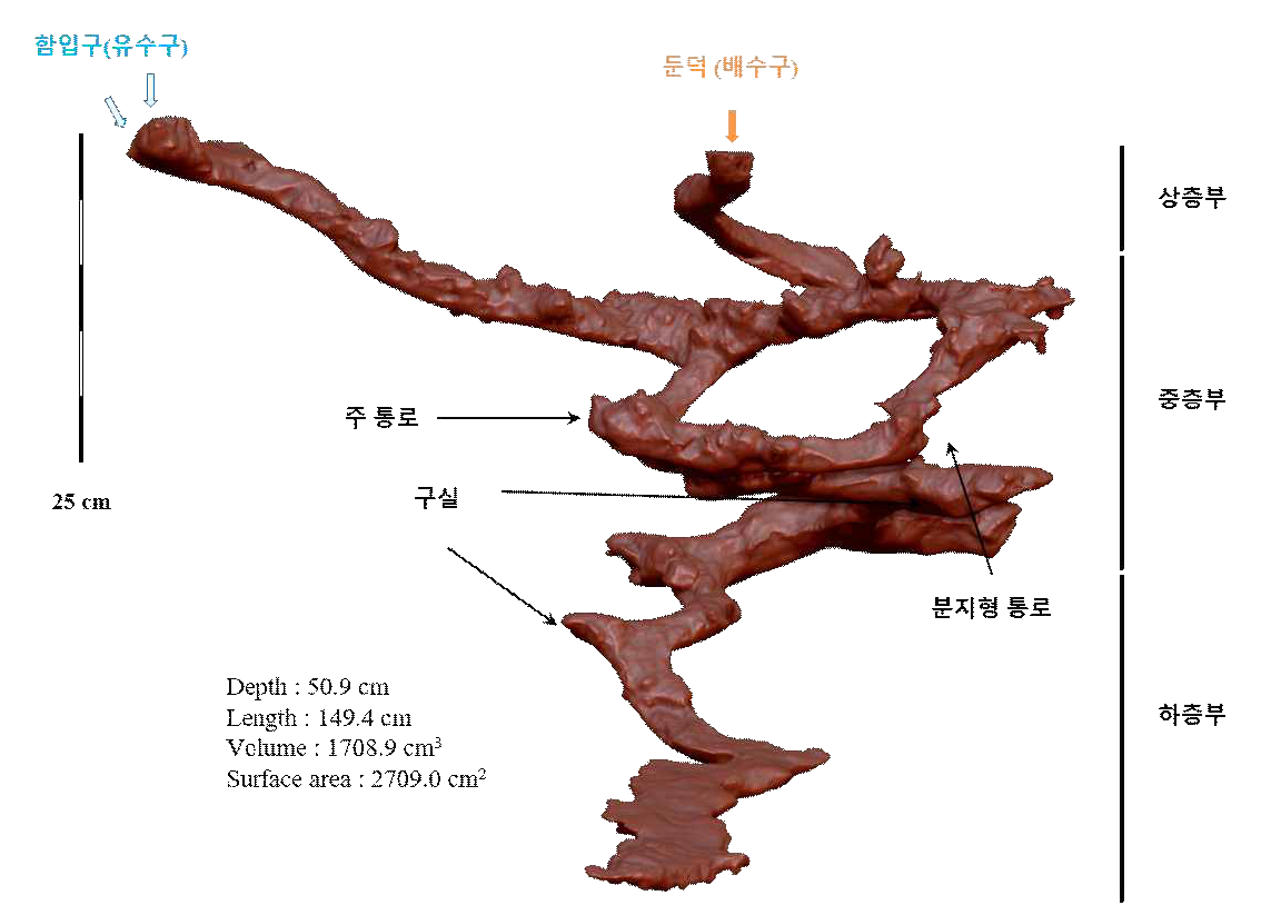 창선도 갯벌 가재붙이 서식굴 표본