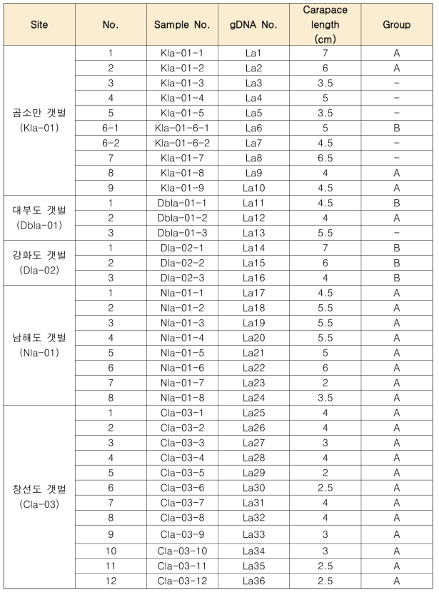 가재붙이 채집지역, 개체정보 및 분자 계통학적 분석 결과