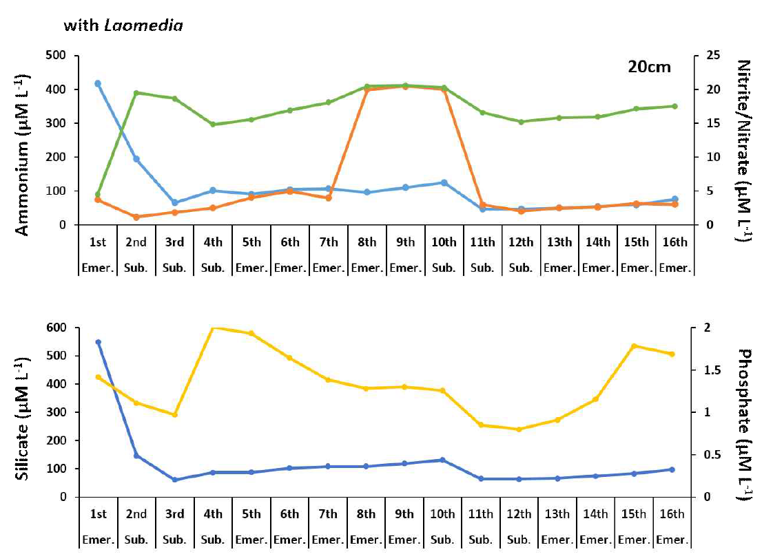 가재붙이 개체가 있는 경우 20cm 깊이의 영양염 농도 변화