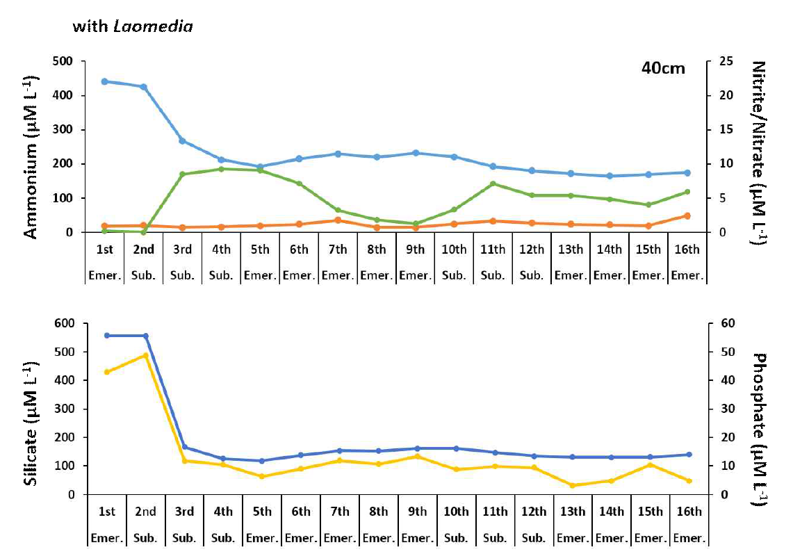 가재붙이 개체가 있는 경우 40cm 깊이의 영양염 농도 변화