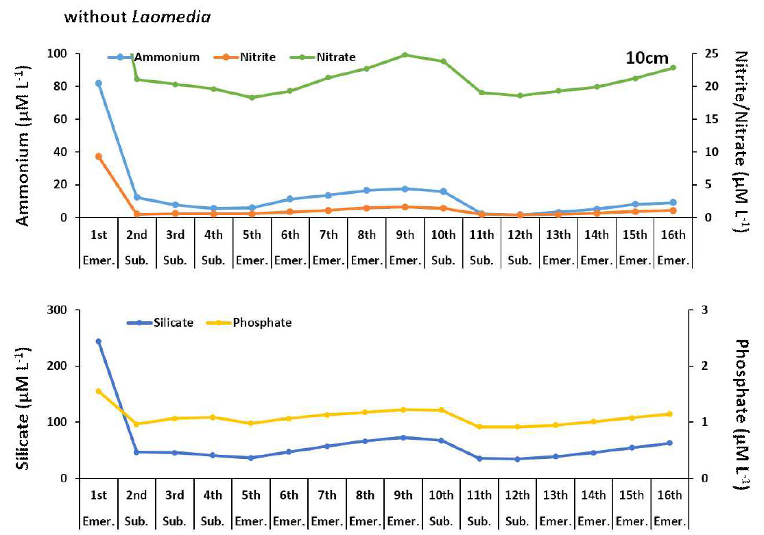 가재붙이 개체가 없는 경우 10cm 깊이의 영양염 농도 변화