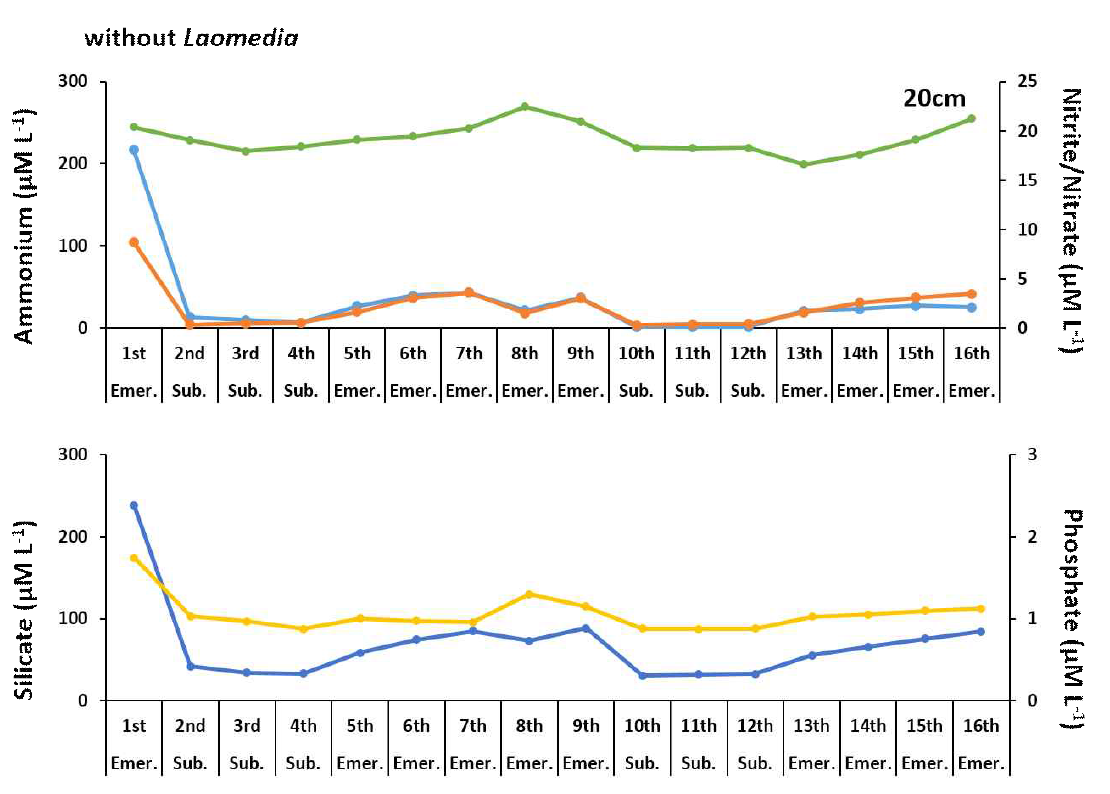 가재붙이 개체가 없는 경우 20cm 깊이의 영양염 농도 변화