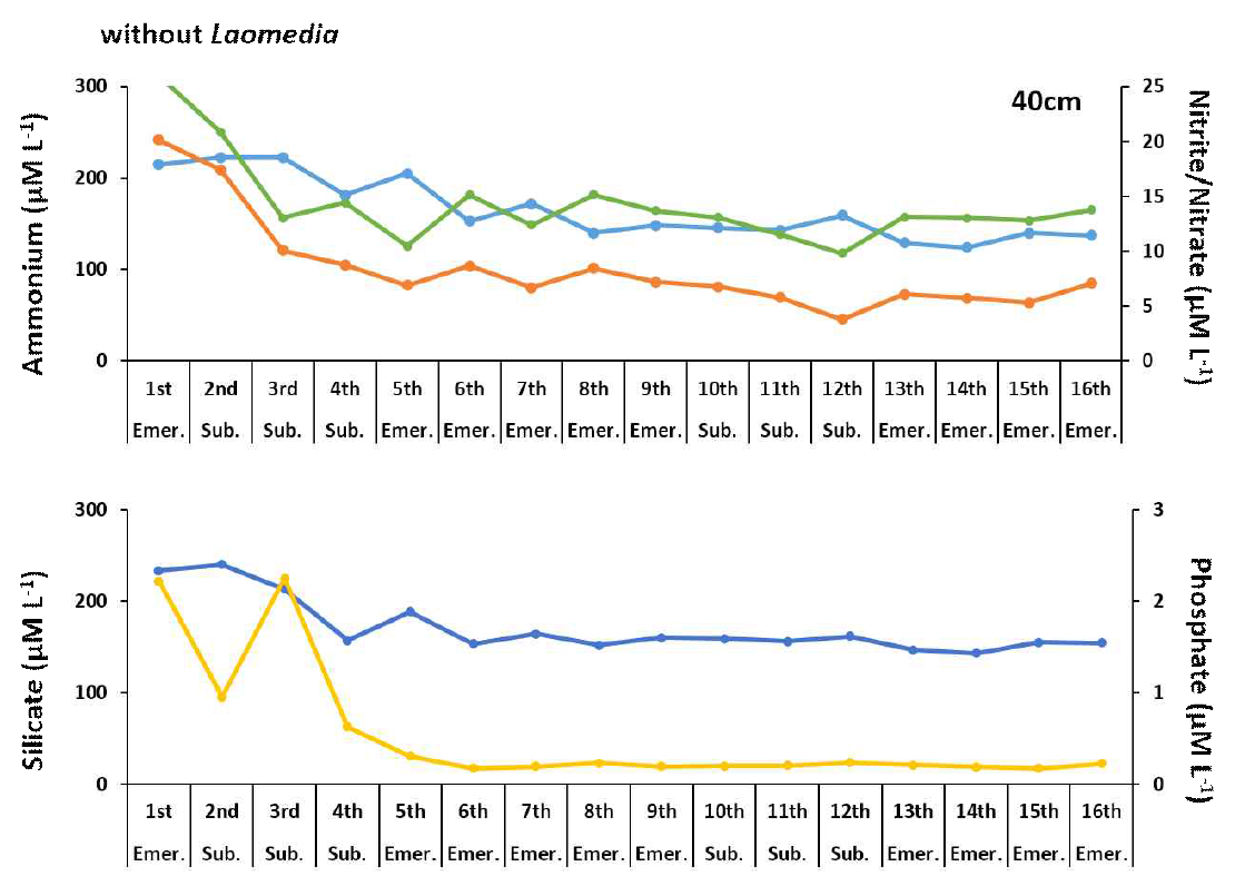 가재붙이 개체가 없는 경우 40cm 깊이의 영양염 농도 변화