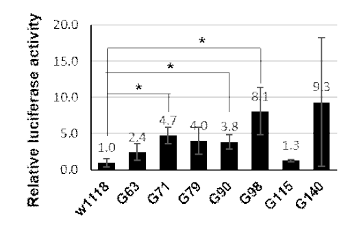 gut barrier homeostasis 관련 생체 수용체 검증 *: ( p value < 0.05)