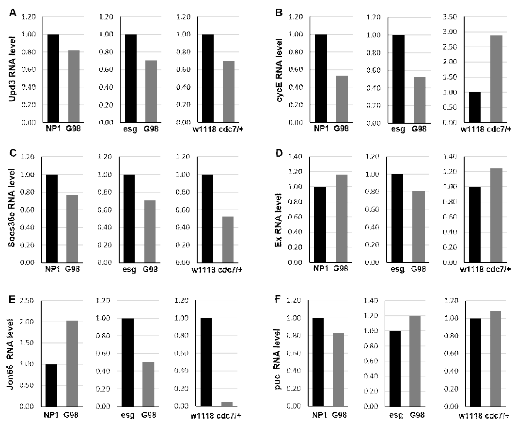 GPCR98과 cdc7의해 조절되는 intestinal homeostasis 관련 유전자 발현 분석