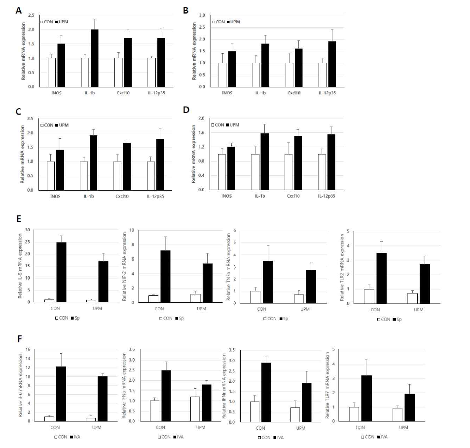 Immune and inflammatory reponses in UPM-primed macrophages