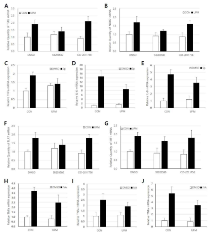 Immune and inflammatory reponses in UPM-primed alveolar epithelial cells