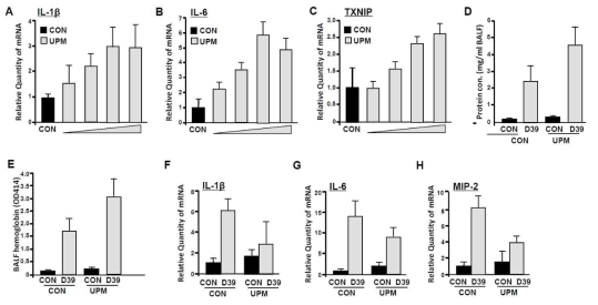 Effects of UPM on the respiratory pneumococcal infection in mice