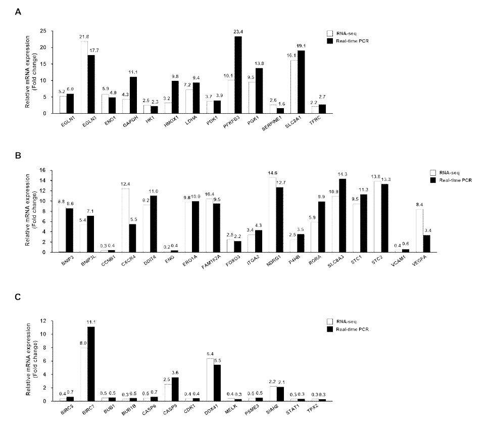 qRT-PCR을 통한 차세대 염기서열 검정법을 통해 선발된 유전자들의 발현 검증