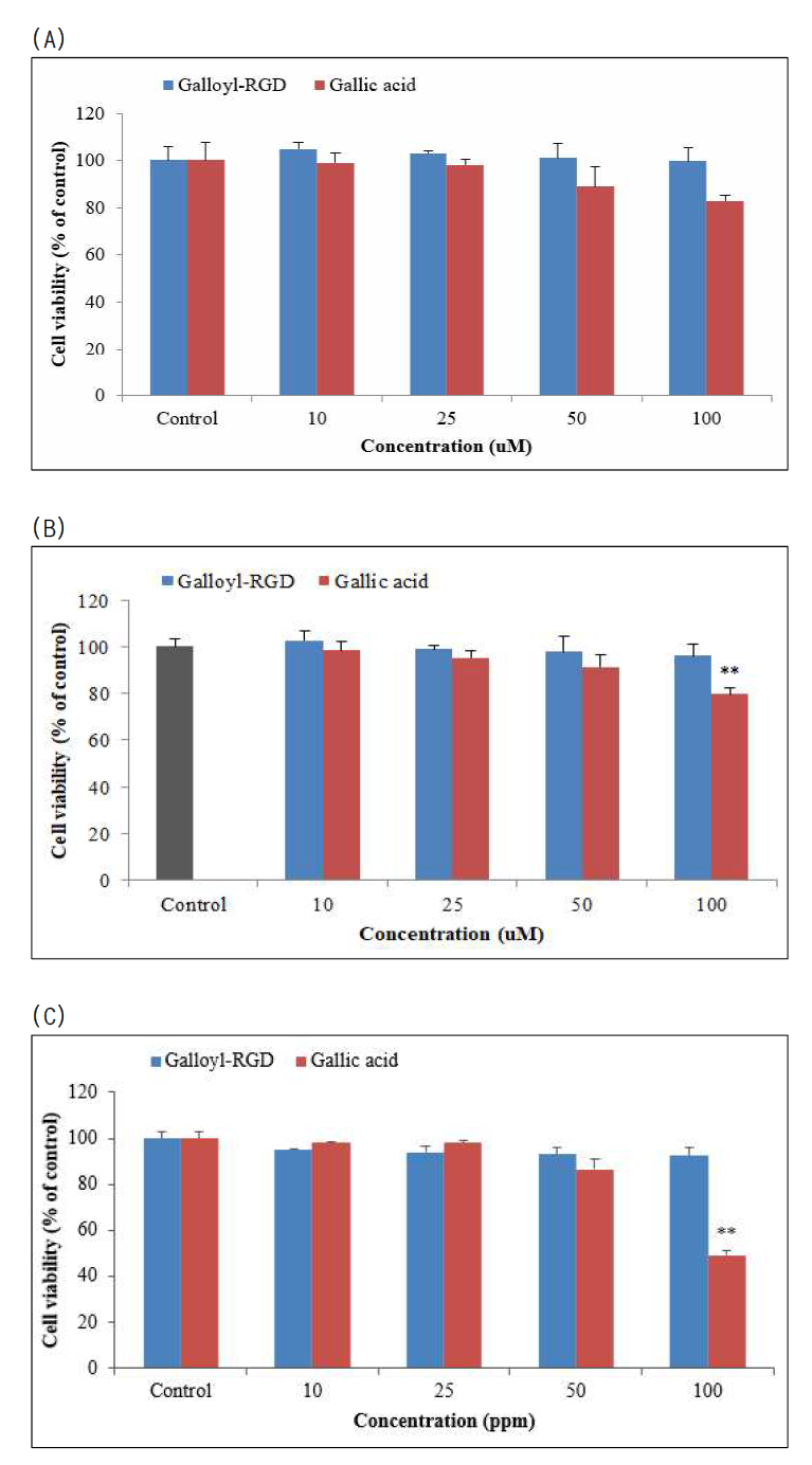 HaCaT (A), CCD-986sk (B), B16F10 (C) 세포에서의 Galloyl-RGD와 Gallic acid의 대한 세포 생존율