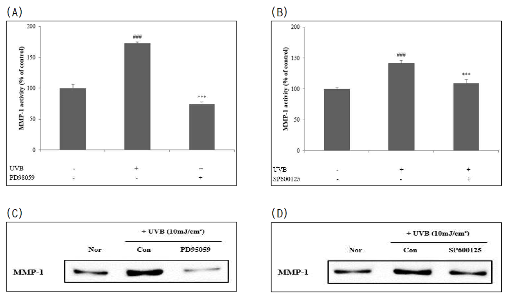 HDF 세포에서 ERK, JNK inhibitor 처리에 의한 MMP-1 활성(a,b) 및 단백질 발현(c,d) (Nor: Normal control, Con: Control, PD98059: ERK inhibitor, SP600125: JNK inhibitor)