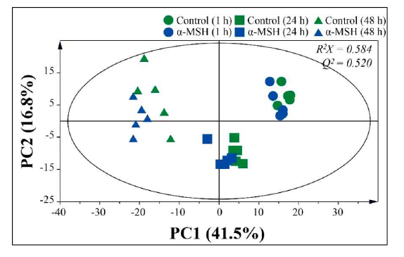 48시간 동안 GC-MS 데이터세트를 기반으로 한 PCA score plot