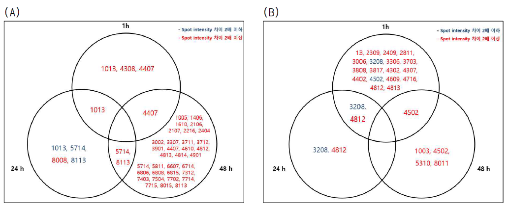 Positive factor (a) 및 Negative factor (b)에 대한 spot 분류 (Positive factor: α-MSH 처리군 증가, α-MSH+Galloyl-RGD 처리군 감소, Negative factor: α-MSH 처리군 감소, α-MSH+Galloyl-RGD 처리군 증가)