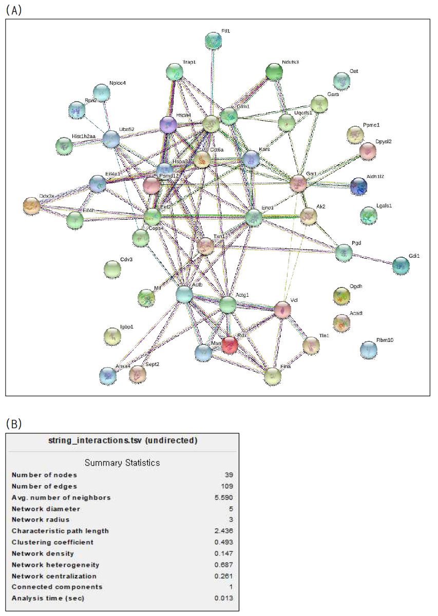 String을 이용한 47-SSP의 PPI network 분석