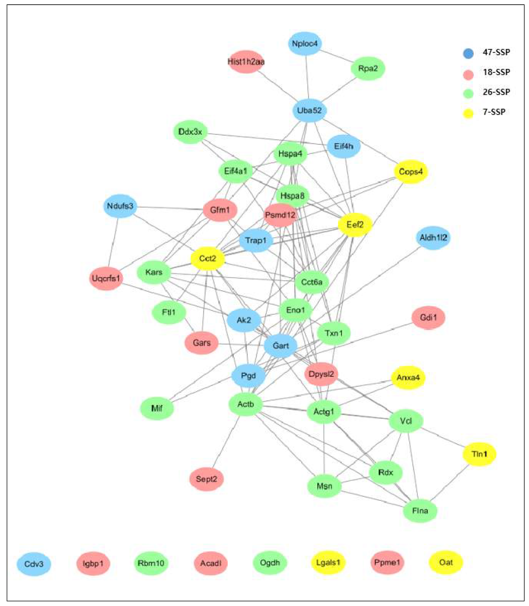 GeneCard target gene 분석 (Melanoma)