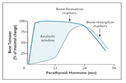 부갑상선 호르몬 제제의 골-대사에 대한 작용