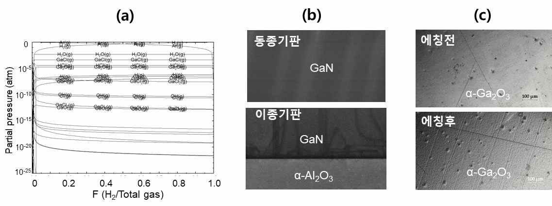 산화갈륨 관련 본 연구그룹의 선행연구 예시: (a) 열역학 계산 예, (b) 질화갈륨의 동종 및 이종 기판에서의 결함 발생 예, (c) EPD를 통한 커런덤 구조 산화갈륨의 전위밀도 관찰