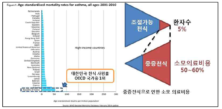 대한민국 천식 사망률 및 중증난치천식 질병부담