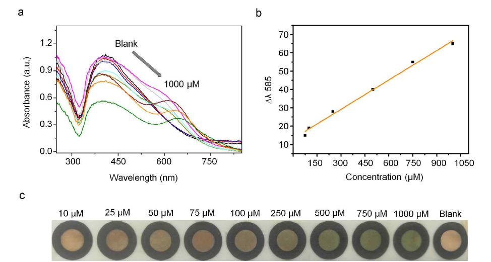 (a) UV−vis spectra of the paper-based dual-AgNP sensor with different concentrations of citrate (10−1000 μM), (b) linear calibration between Δλ585 and the citrate concentration, and (c) photo demonstrating the visual detection of citrate using paper-based dual-AgNPs