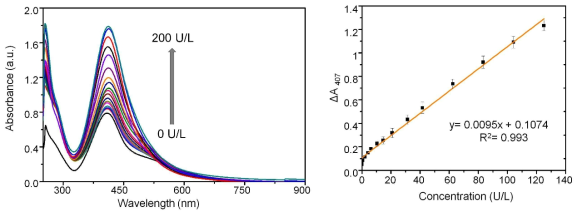 (a) UV–vis spectra of the ALP biosensor with different concentrations of the added ALP in a 10 % diluted human serum solution and (b) linear standard addition calibration curve of the change in the absorbance of the biosensor as a function of added ALP concentration