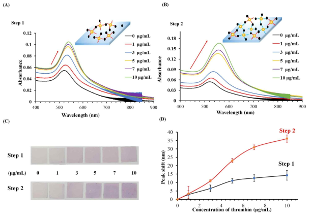 UV–vis spectra of (A) the first sensing stage of AuNP-TBA1-thrombin and (B) dual sensing platform AuNP-TBA1-thrombin-TBA2-AuNPs at various thrombin concentrations. (C) Images of single and dual apta-sensor with different thrombin concentrations. (D) Calibration curves of single and dual apta-sensor