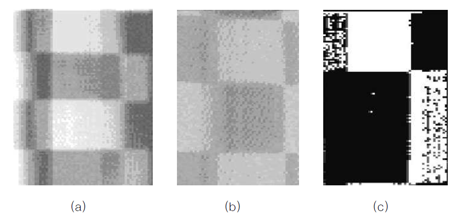 제안한 MOSFET형 광 검출기를 이용하여 획득한 영상 (a) 아날로그 출력 영상 (b) double sampling 기법 적용 후의 출력 영상 (c) 바이너리 출력 영상