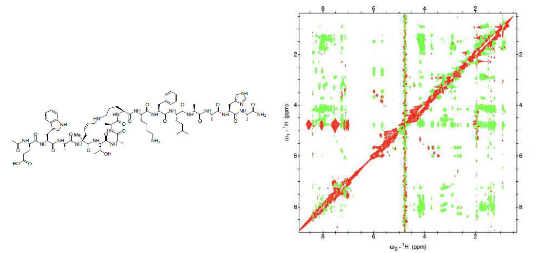 변형된 stapled α-helical peptide의 아미노산 서열 및 1H-1H NOESY spectrum. 펩타이드 stapling 은 4번 아미노산과 9번 아미노산의 side-chain 간 연결이 이루어짐