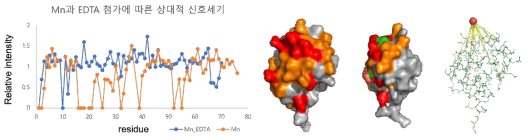 망간을 첨가했을 때의 NMR 신호세기와 망간-EDTA 첨가시 NMR 신호세기의 차이. 두 차이가 큰 경우 망간에 의한 PRE 값이 크며 망간과의 거리가 짧음. 망간첨가에 의해 발생한 신호세기의 크기에 따른 아미노산 분포