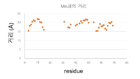 측정한 PRE로 계산된 망간과 아미노산의 NH 사이 거리