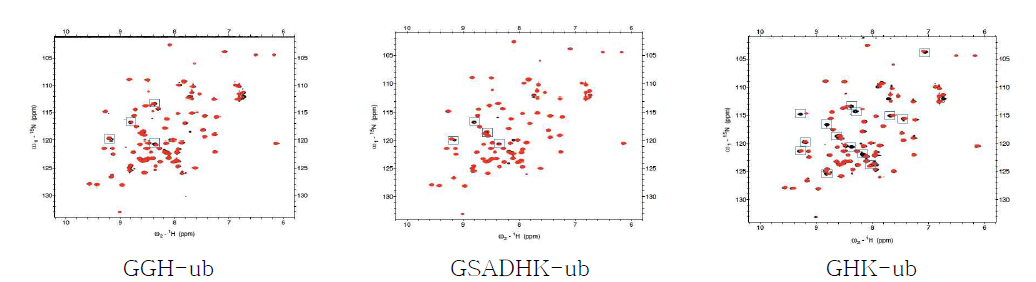 유비퀴틴 1H-15N HSQC 스펙트럼의 변화, 구리이온이 없을 때 (검은색 피크)와 구리이온이 존재할 때 (붉은색 피크)의 스펙트럼 변화가 일부 아미노산에서 관찰되며 GHK-ub에서 가장 큰 변화가 관찰됨