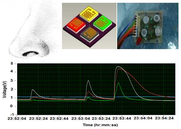 SnO2 박막을 이용한 전자코(e-nose)의 구성도(상) 및 3가지 다른 가스의 반응을 기반으로 추출된 전기 신호 조합