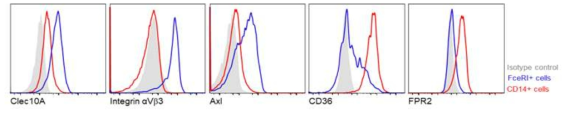 통풍관절액에 존재하는 CD14+세포와 FceRI+세포의 phagocytosis 관련 유전자 발현 확인