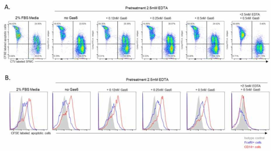 관절액에 존재하는 선천면역세포의 phagocytosis 능력. (A) Cell tracer violet (CTV)로 표지된 관절액에서 분리된 세포 (SFMC)가 uptake한 apoptotic cell 확인. (B) SFMC에서 CD14+세포와 FceRI+ 세포의 phagocytosis 능력 비교