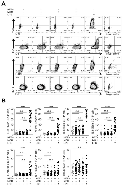 Synovial fluid CD14+ 세포와 NET의 공동배양 후 flow cytometry를 이용한 cytokine 분석