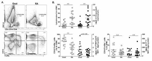 Flow cytometry 기법을 통한 관절액에 존재하는 면역세포 분석. A, 분석을 위한 gating 전략. B, 림프구 (CD3+ CD19+ CD56+)와 단핵구 (CD14+) 및 FceRI+ 세포의 flow cytometry 분석을 통한 면역세포의 빈도수 및 세포수