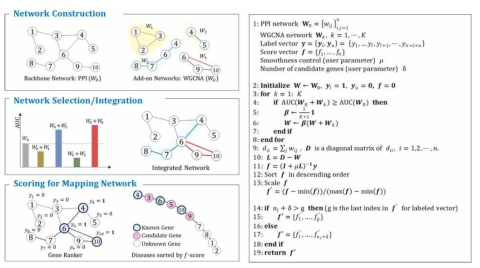 Disease-Gene Network / Scoring for Mapping network