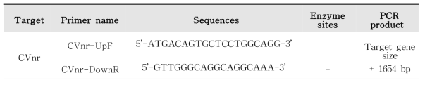 CVnr 증폭을 위한 primers