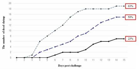 WSSV VP28 발현 클로렐라에 의한 징거미새우에서의 WSSV 감염억제. 각 처리별 30마리를 대상으로 공격접종 후 2주일간의 폐사 개체를 조사함. 실선, VP28 발현 클로렐라 급여군, 굵은 점선; wild type 클로렐라 급여군, 점선; 일반새우사료 급여군. 박스 안의 숫자는 최종 누적 폐사율을 나타낸다