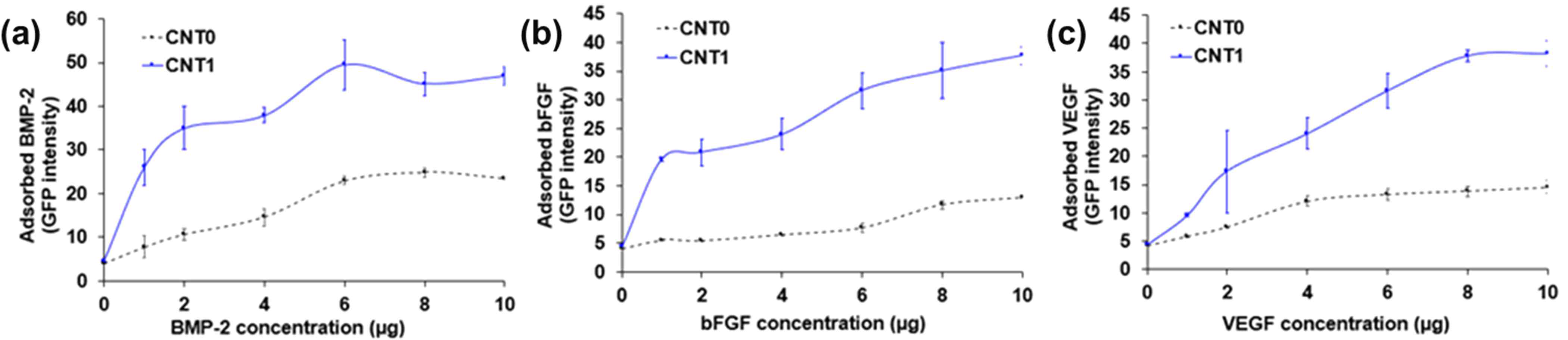 Growth factor loading capacity of CNT-interfaced nanofiber. GFP-tagged growth factors related with bone regeneration (BMP2, FGF2, VEGF) were treated to the nanofiber at various concentrations, and the fluorescence intensity was analyzed. Significantly higher growth factor loading was noted in CNT1 vs. CNT0 (n = 3)
