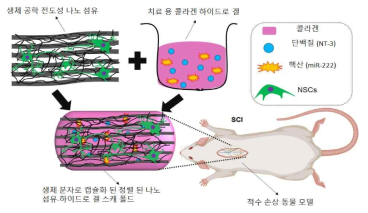 Schematic illustration of bioengineered nanofibrous-hydrogel scaffold with therapeutic functions in one unit in SCI treatment